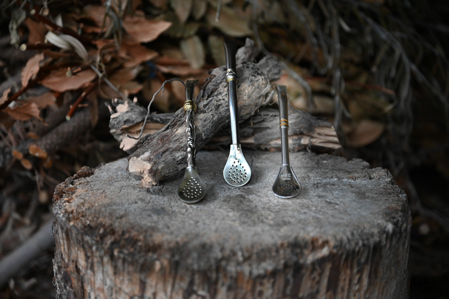 Comment nettoyer sa bombilla : conseils d’entretien pour l’inox et l’alpaga